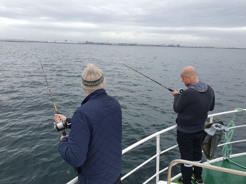 Reykjavik's Finest Catch: Guided Sea Angling Tour - Two hours in Faxaflói Bay: how the fishing works