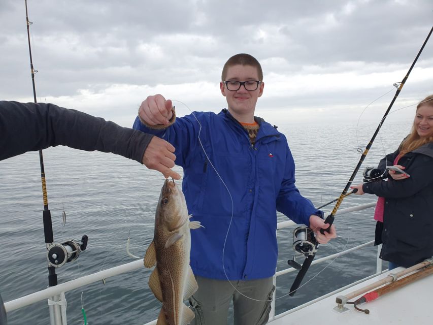 Reykjavik's Finest Catch: Guided Sea Angling Tour - What $188 includes, and where the value lies