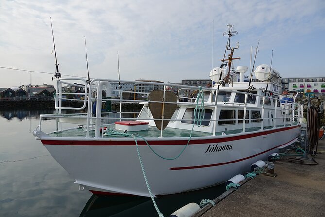 Reykjavik's Finest Catch: Guided Sea Angling Tour for All Levels - Coast views and a quick puffin stop