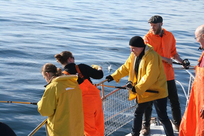Reykjavik Sea Angling Gourmet - How the group size affects the experience