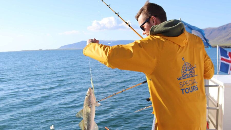 Reykjavik: Sea Fishing Boat Tour & BBQ with the Day's Catch - Final call: book it for the meal and the people