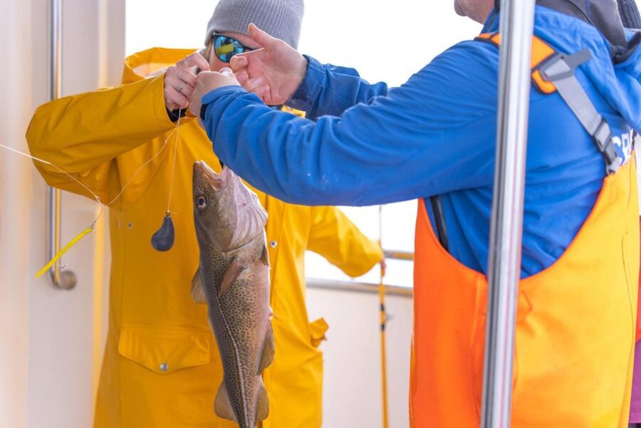 Reykjavik: Sea Fishing Boat Tour & BBQ with the Day's Catch - What the fishing stops are really like