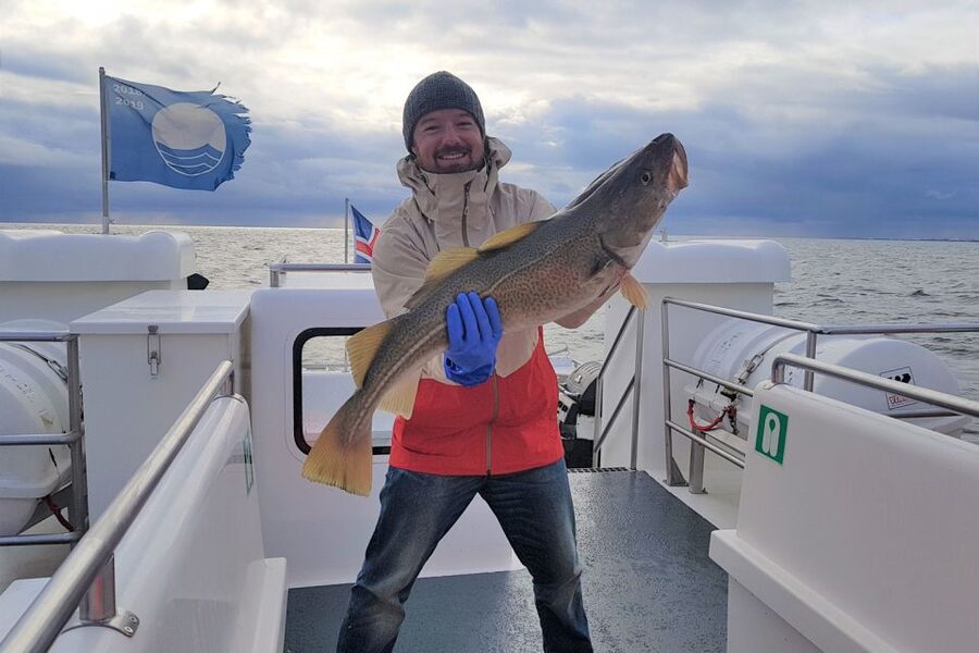 Reykjavik: Sea Fishing Boat Tour & BBQ with the Day's Catch - Puffins, whales, and the views across Faxaflói Bay