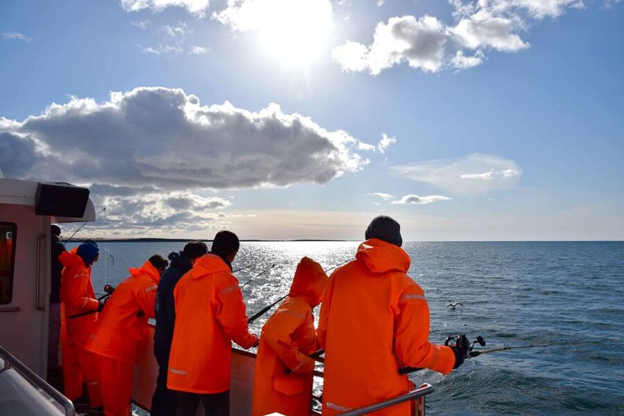 Reykjavik: Sea Fishing Boat Tour & BBQ with the Day's Catch - Who should book this Reykjavik fishing trip?