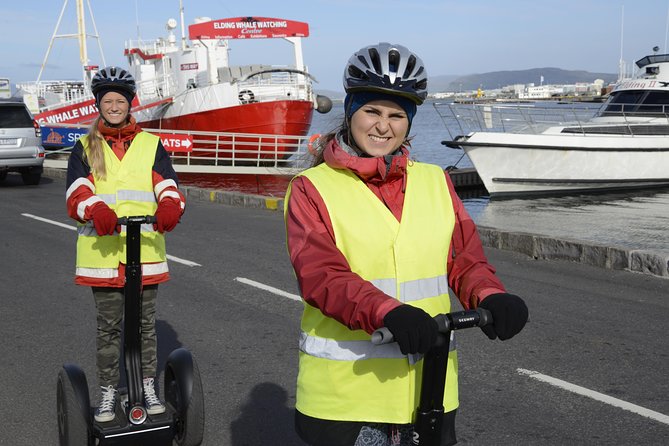 Reykjavik Segway Tour - Harpa and the City Center