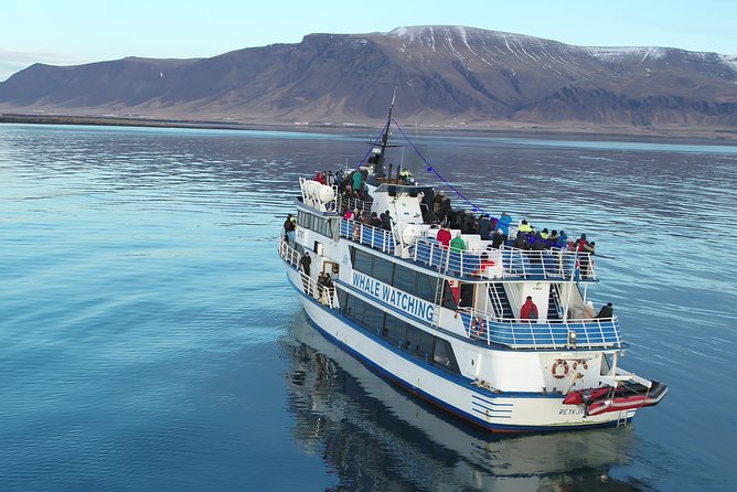 Reykjavik Shore Excursion: Whale-Watching Cruise - Staying warm when Iceland changes its mind