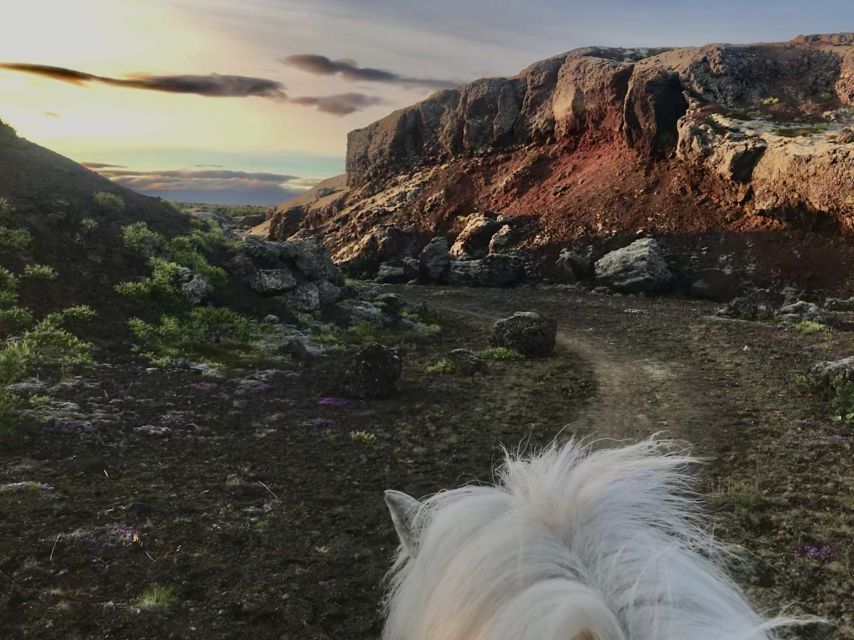 Reykjavik: Small-Group Horse Volcano Riding Tour with Pickup - From Reykjavik hotel pickup to the family farm