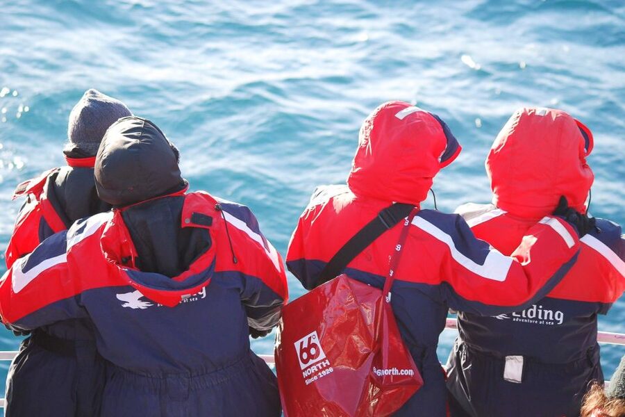 Reykjavik: the Original 3-Hour Whale Watching Tour - Cold-weather gear and comfort
