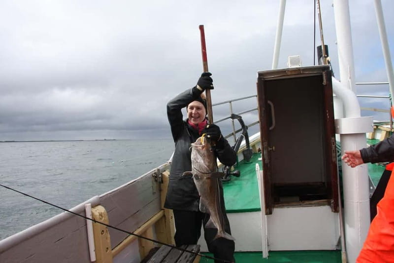 Reykjavik: Traditional Sea Fishing with BBQ Feast - Why the group size matters