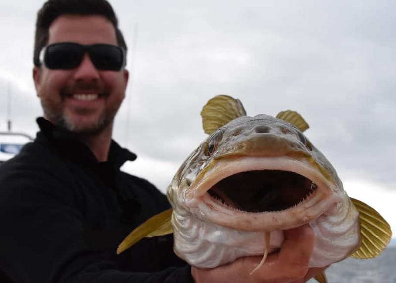 Reykjavik: Traditional Sea Fishing with BBQ Feast - Practical advice for a smoother outing