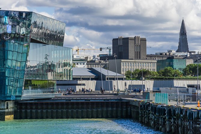 Reykjavik Walking Tour - Walk with a Viking - Austurvöllur, City Hall, and Icelandic public life