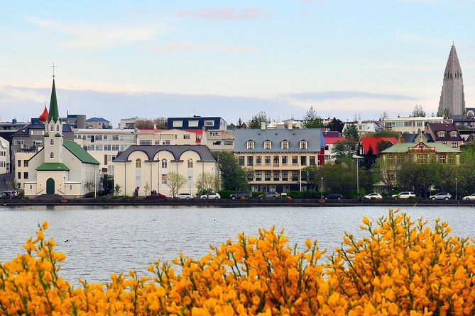 Reykjavik Walking Tour - Walk with a Viking - Alþingi and Iceland’s democratic story