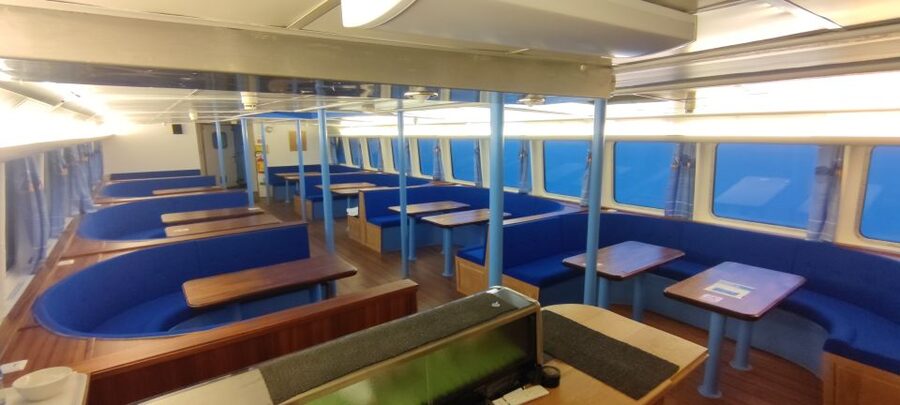 Reykjavik: Whale & Marine Adventure Tour - Choosing between the heated cabin and open deck