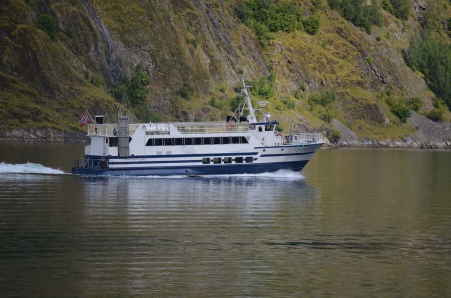 Reykjavik: Whale & Marine Adventure Tour - What the $104 price really includes