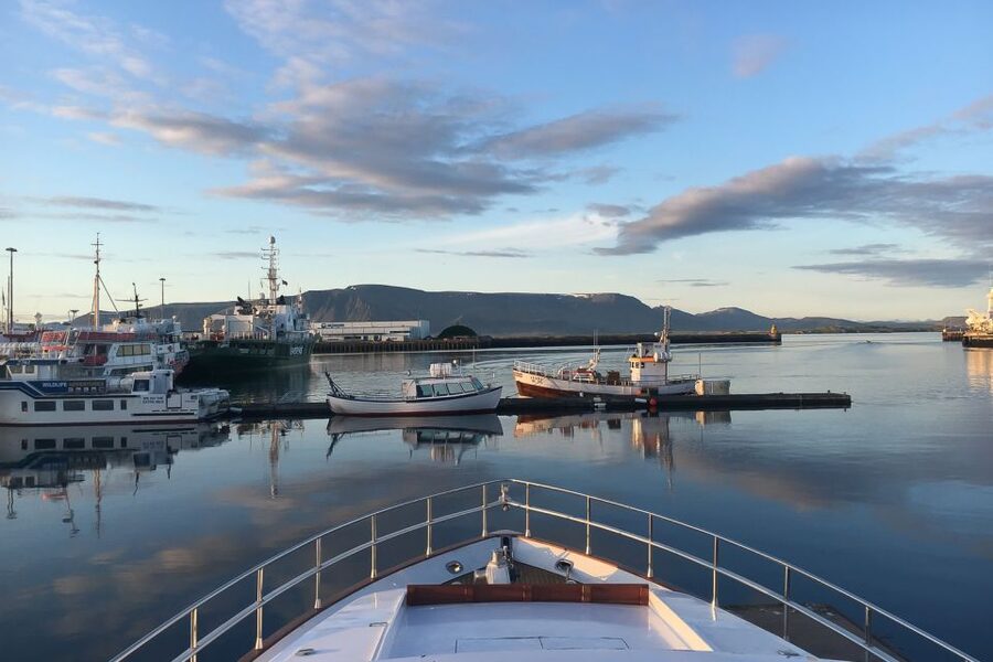 Reykjavik: Whale Watching and Dolphin Watching Yacht Cruise - Meeting humpback whales, minke whales, and dolphins