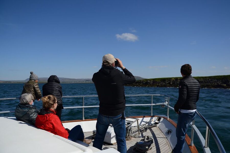 Reykjavik: Whale Watching and Dolphin Watching Yacht Cruise - Comfort, space, and the value of a yacht