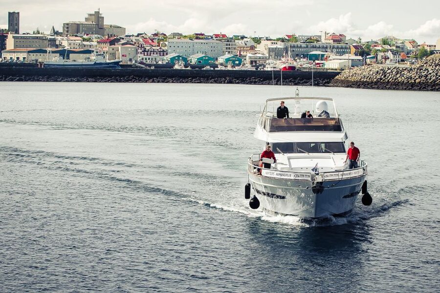 Reykjavik: Whale Watching and Dolphin Watching Yacht Cruise - Crossing Faxafloi Bay for the first sightings