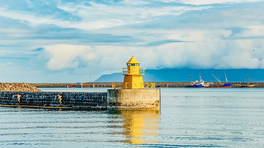 Reykjavík: Whale Watching and Marine Life Cruise - Who will enjoy this cruise most?