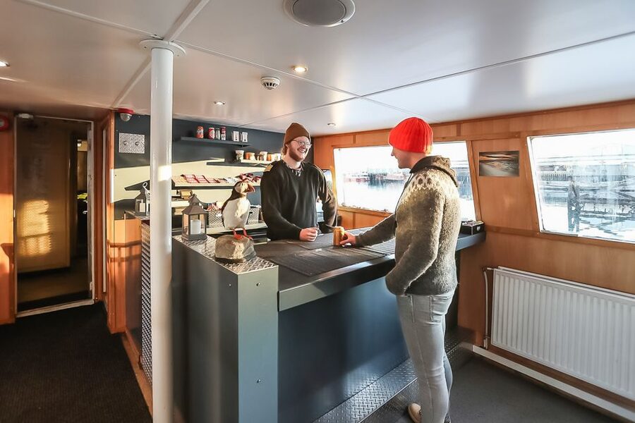 Reykjavík: Whale Watching and Marine Life Cruise - Timing your trip for better odds