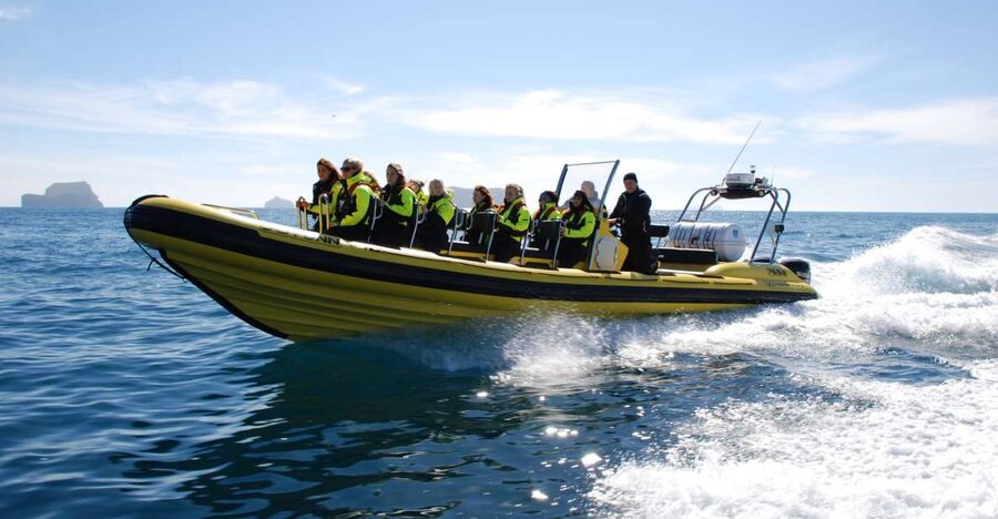 Reykjavik: Whale Watching by RIB Speedboat - Key points to know before booking