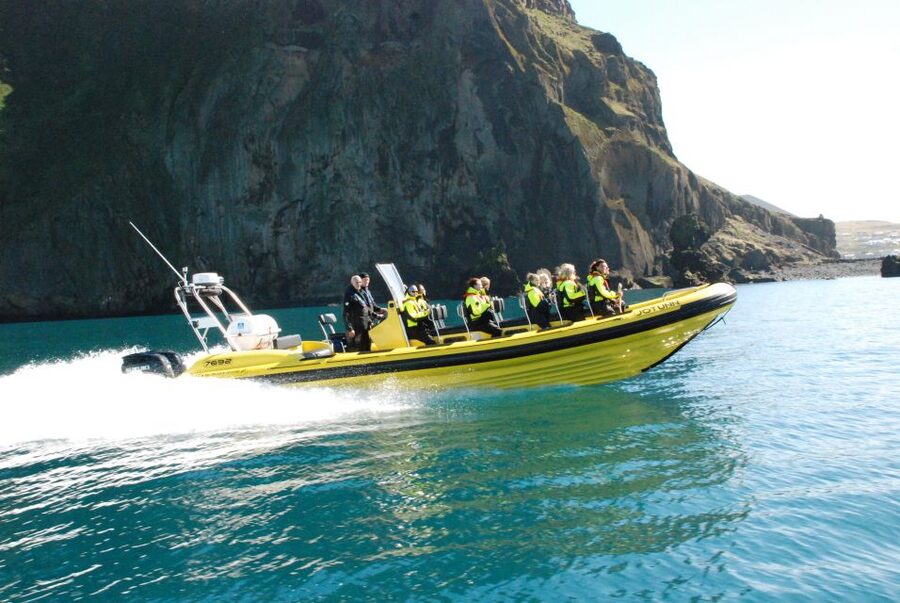 Reykjavik: Whale Watching by RIB Speedboat - Practical tips for a better outing