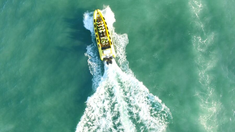 Reykjavik: Whale Watching by RIB Speedboat - Lundey, Iceland’s Puffin Island