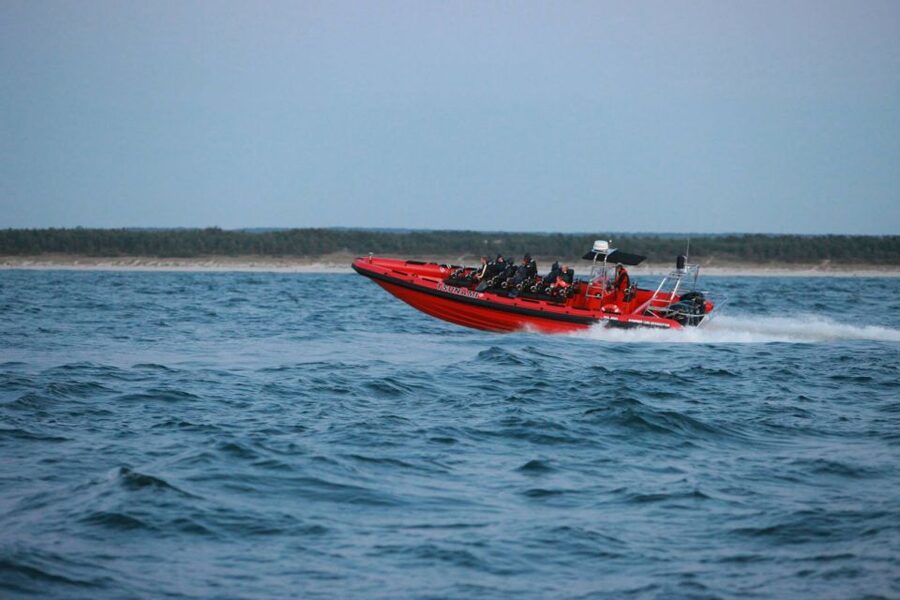 Reykjavik: Whale Watching by RIB Speedboat - What two hours really feels like