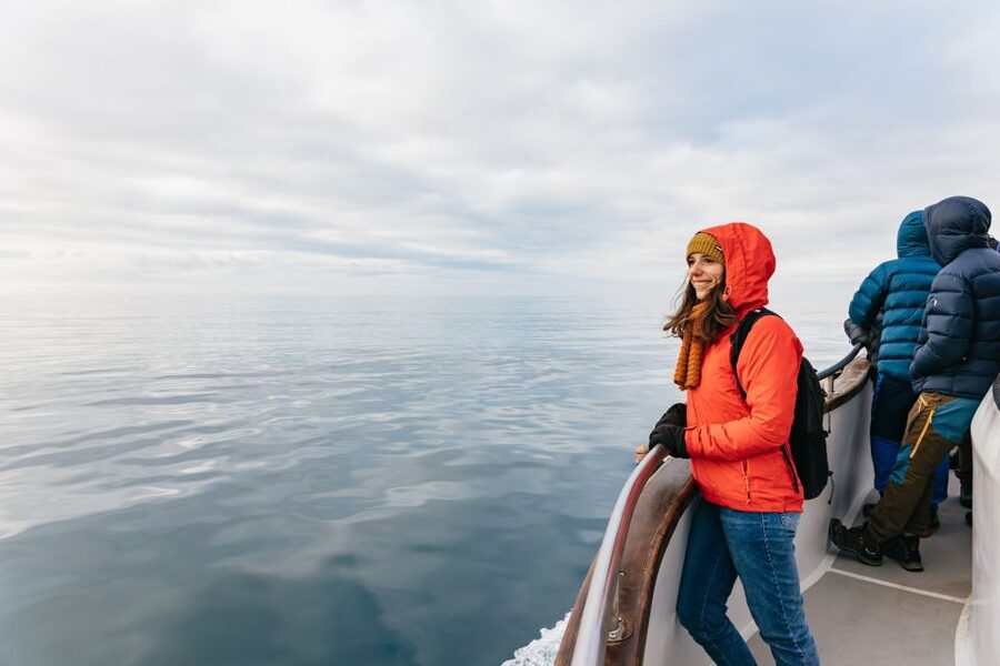 Reykjavík: Whale Watching Cruise on the Amelia Rose Yacht - Humpbacks, minkes, dolphins, and the luck factor