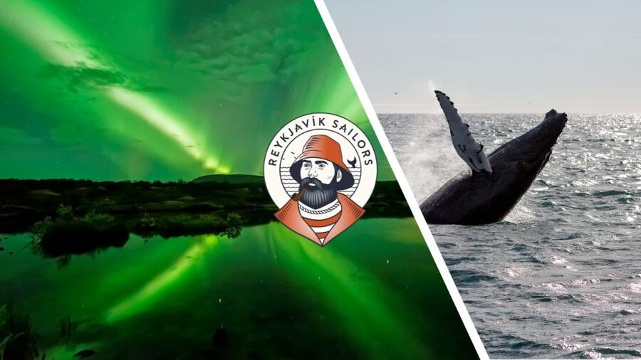 Reykjavik: Whale Watching & Northern Lights Combo Cruise - Mountains, islands, and birdlife beyond Reykjavik