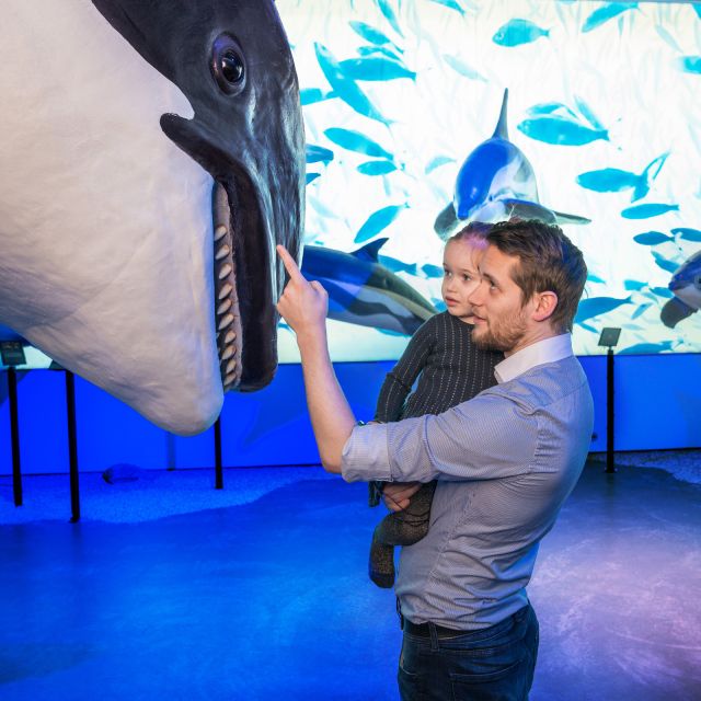 Reykjavik: Whale Watching Tour, Whales of Iceland Exhibition - Key points to know before you go
