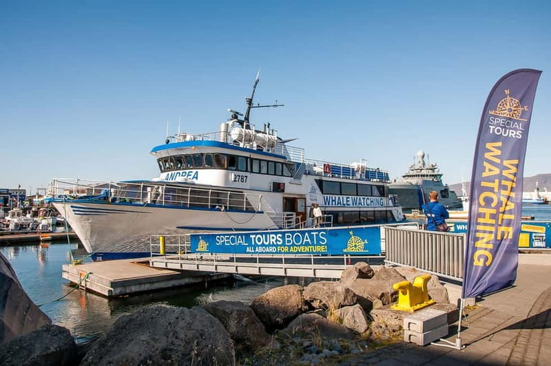 Reykjavik: Whale Watching Tour with Expert Guide - How the guides and crew shape the experience