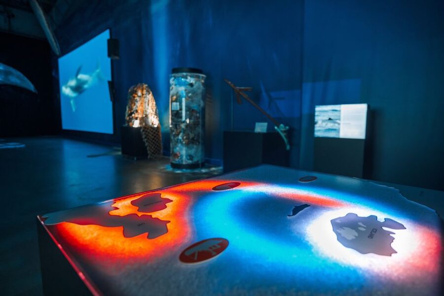 Reykjavik: Whales of Iceland Museum Entrance Ticket - Key things to know before you go