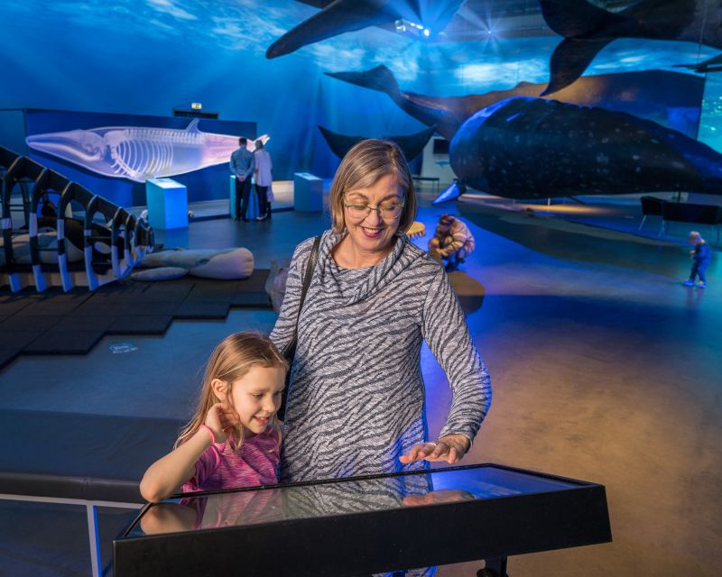 Reykjavik: Whales of Iceland Museum Entrance Ticket - Who will enjoy Whales of Iceland most