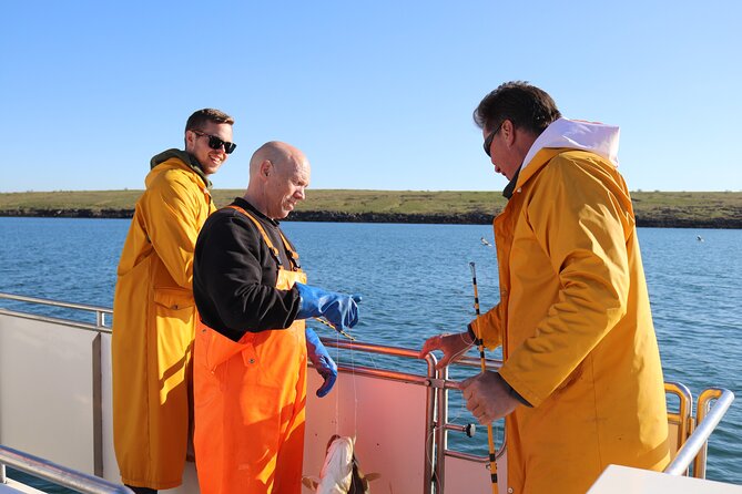 Sea Fishing Experience from Reykjavik - The Best Parts of This Reykjavik Fishing Trip