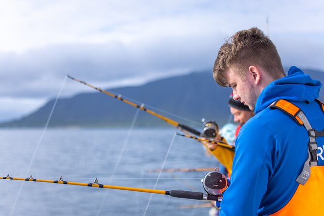 Sea Fishing Experience from Reykjavik - What Three Hours on the Water Feels Like