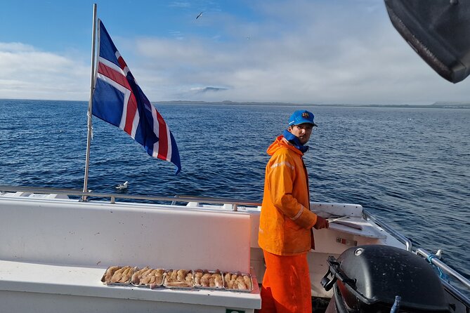 Sea Fishing Experience from Reykjavik - Is $147.54 Good Value?