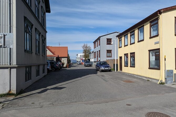 Self-Guided Tour of Ísafjörður: Art, History, and Architecture - Contemporary Art at Culture House Eyrartún