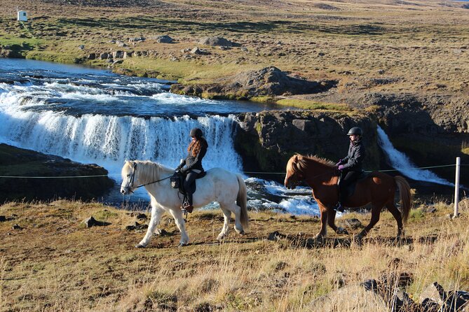 Short Riding Tour with Eye-Catching Photos at Waterfall - A short Icelandic ride with a real destination