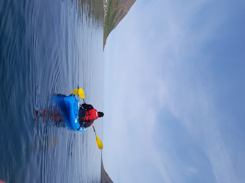 Siglufjörður / Siglufjordur: Guided kayak tour. - Why Siglufjörður is a fine place to kayak