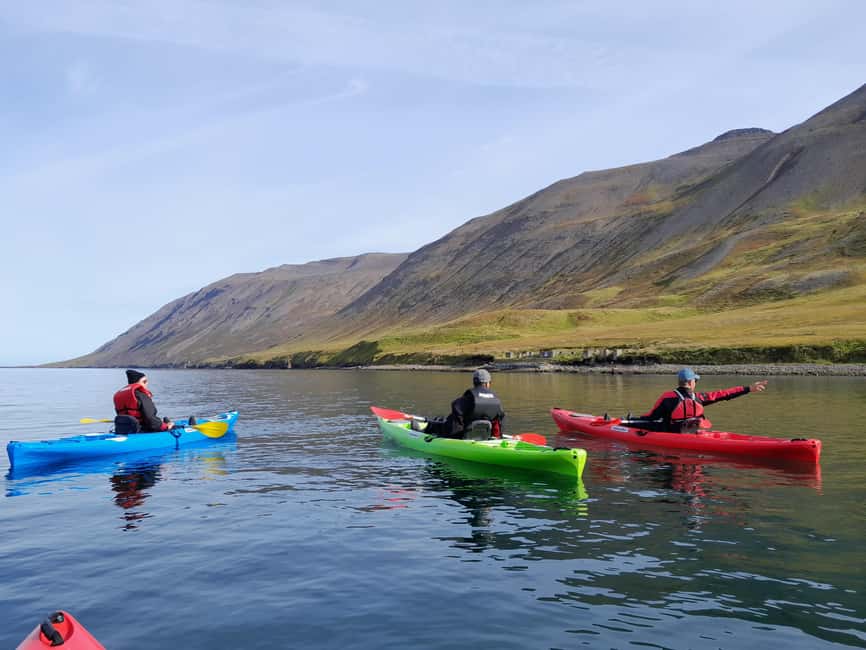 Siglufjörður / Siglufjordur: Guided kayak tour. - The Evanger avalanche site and the risks of mountain living