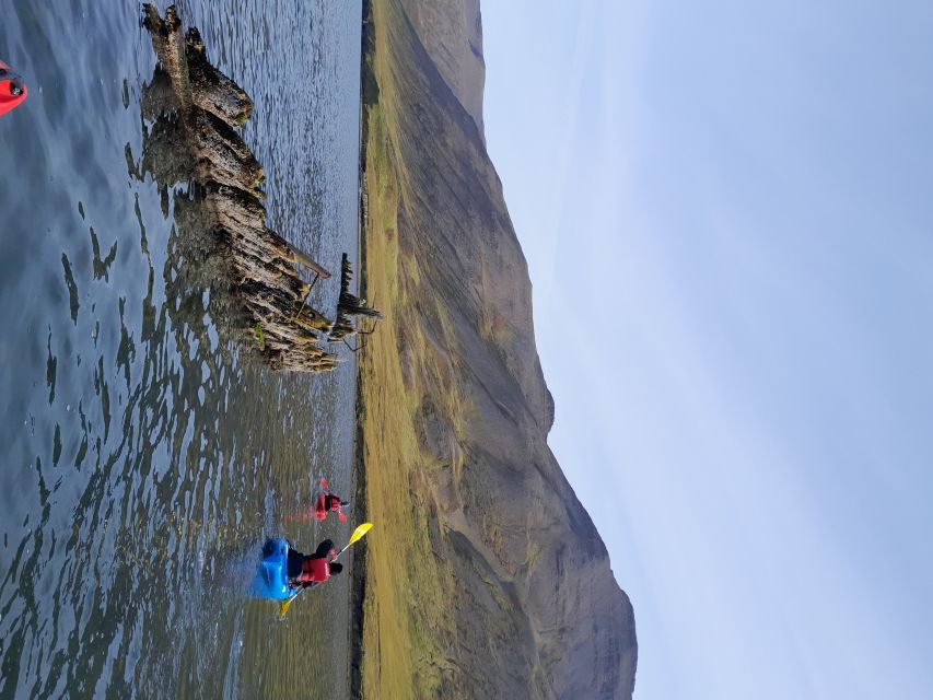 Siglufjörður / Siglufjordur: Guided kayak tour. - Wildlife without a promise of sightings