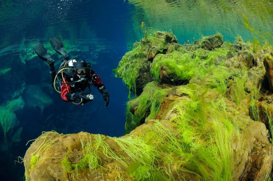 Silfra: Diving Between Tectonic Plates - What the $289 price really buys you