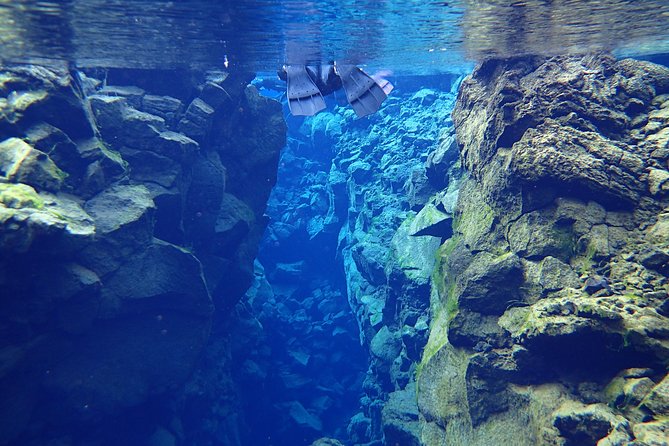 Silfra Fissure Snorkeling From Reykjavík - Free Underwater Photos - The practical limits you need to check