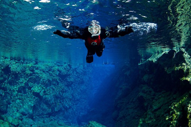 Silfra: Snorkeling Between Tectonic Plates Pick Up from Reykjavik - What the small group adds