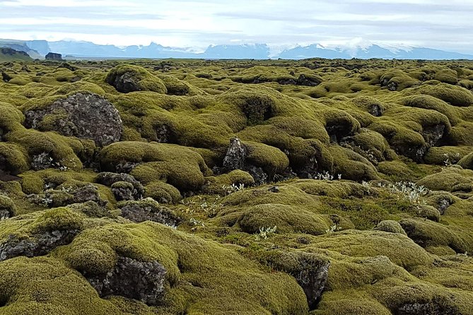 Small Group Day Tour to Lakagigar volcano by Super Jeep from Klaustur - Fagrifoss adds a powerful change of pace