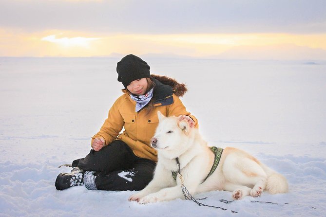 Small Group Husky Sledding Tour from Capital Region - Reaching the base near Mosfellsbær