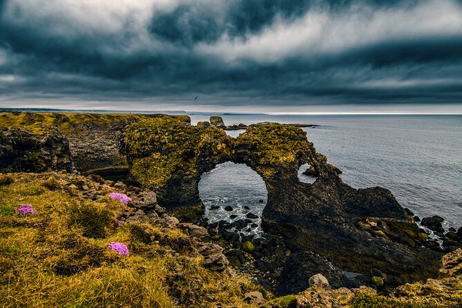 Snæfellsnes in Spanish with lunch on a farm Minibus - Buðir’s black church in the lava field