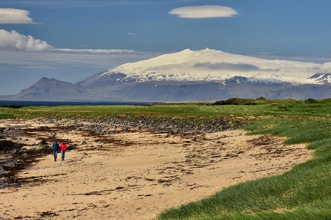 Snaefellsnes NP Small-Group Tour with Local Lunch from Reykjavik - Ytri Tunga, seals, and a practical warning