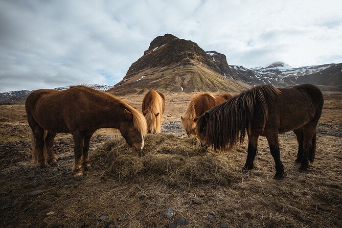 Snæfellsnes Peninsula | Private tour | PRO Photos included - Snæfellsjökull, the Volcano at the Center of the Day