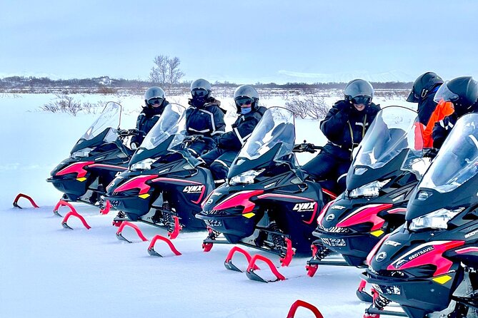 Snowmobile Tour by Lake Mývatn - One hour across the frozen lake